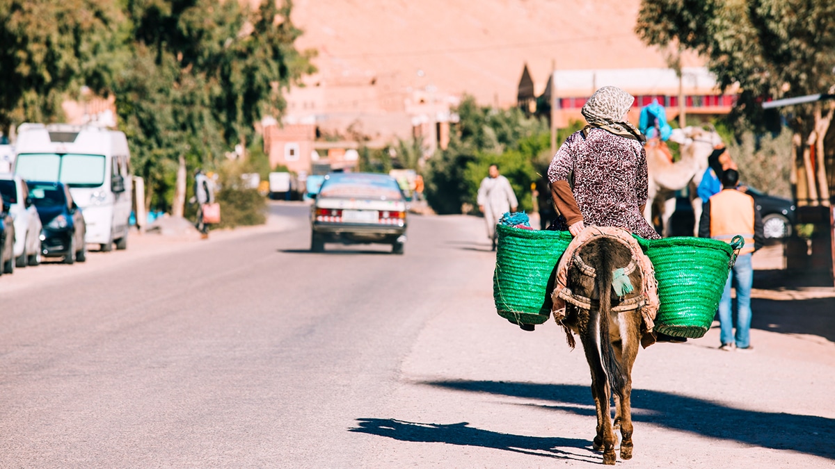 destination algerienne meconnue va couper souffle personne jamais parle