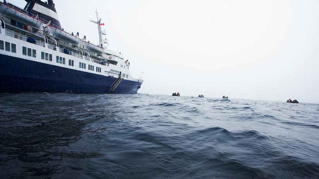 ferry marseille alger annule derniere minute decouvrez raison invraisemblable choque voyageurs