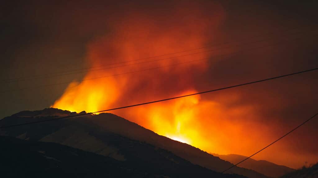 incendies algerie bilan effroyable pays sous choc