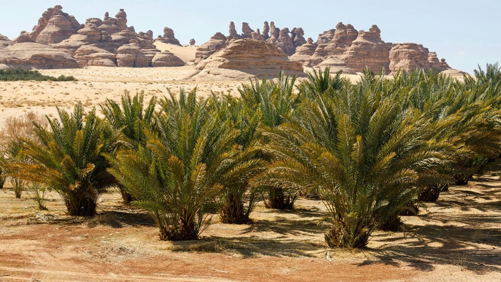 terres rares algeriennes danger cache france 2