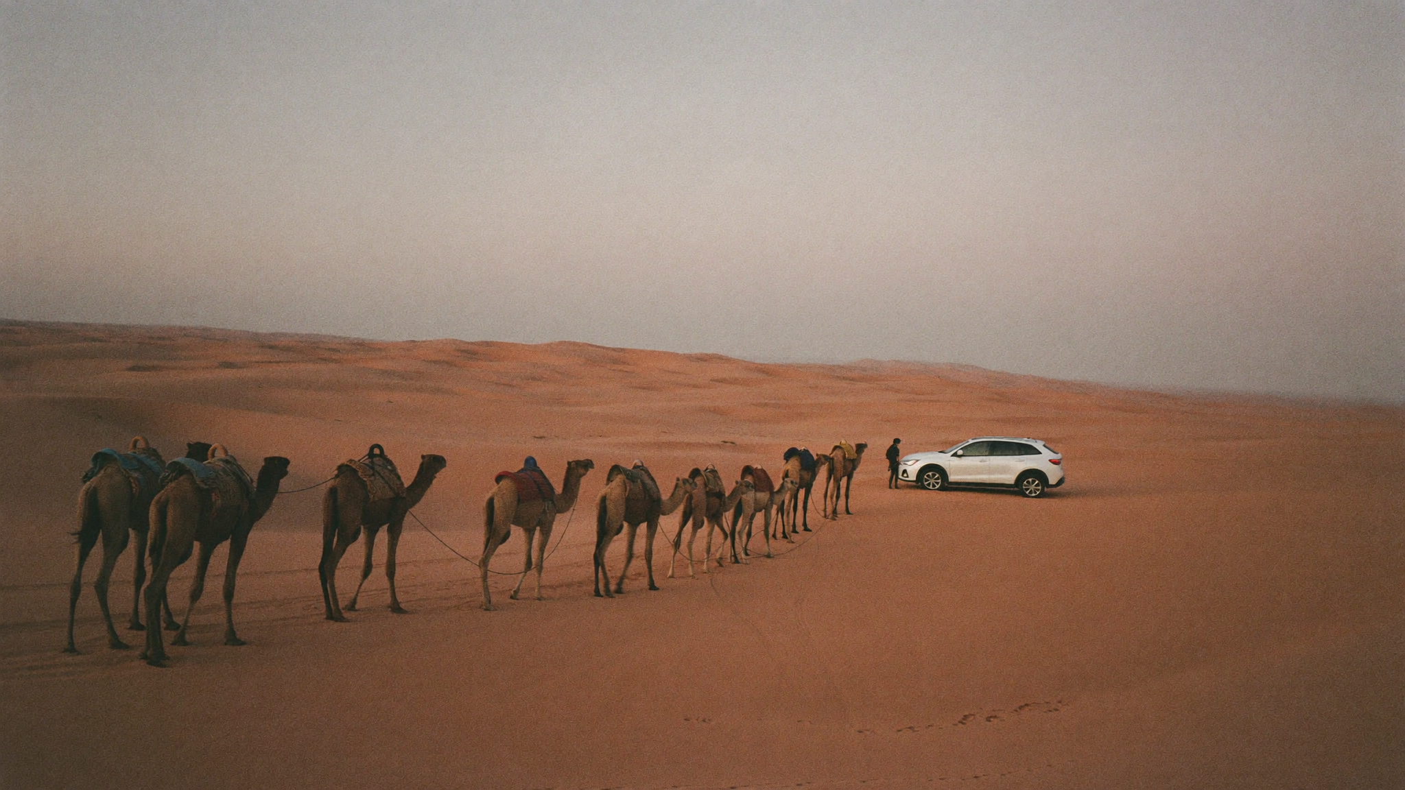 Caravane de dromadaires sur les dunes de l'erg Chebbi près de Merzouga au coucher du soleil