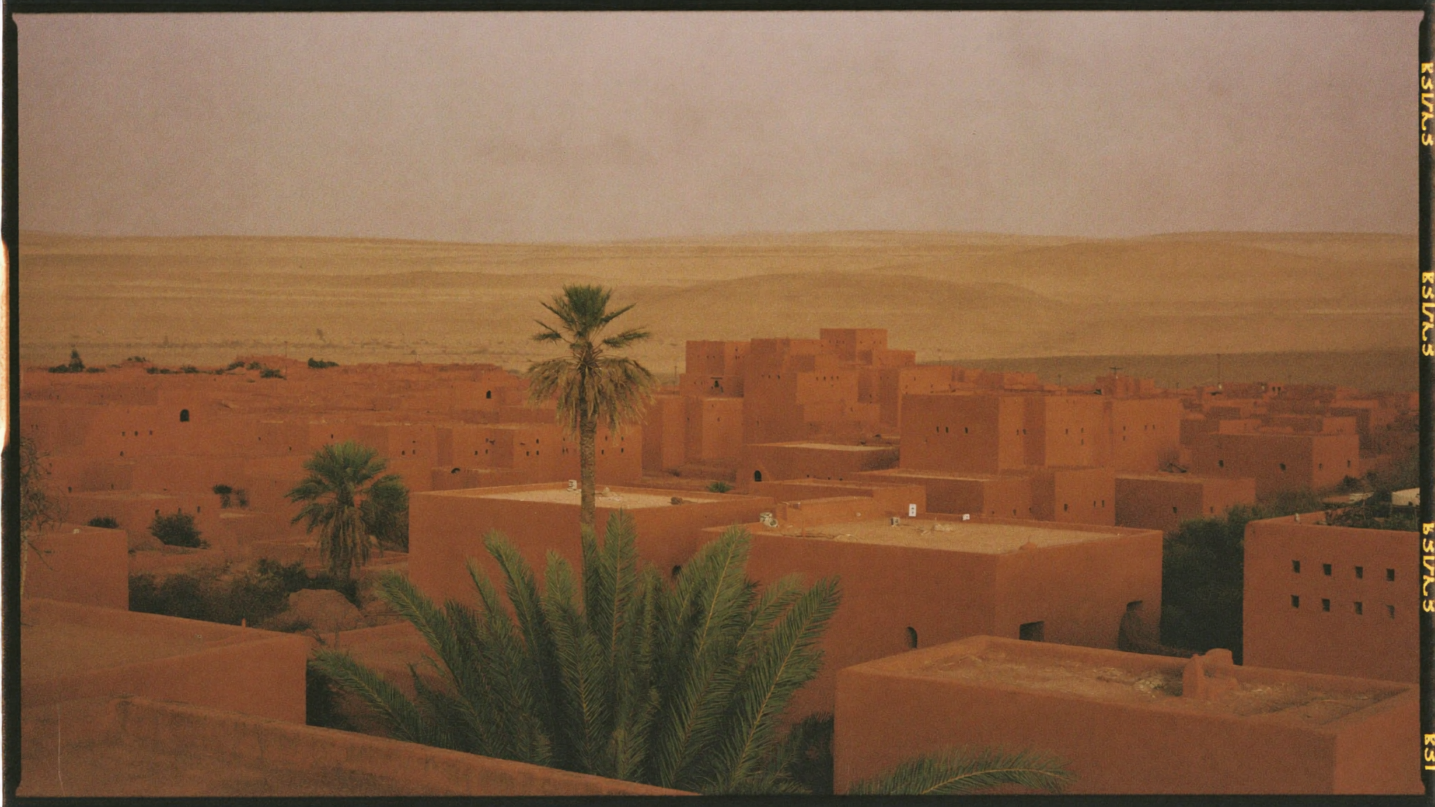 Architecture en terre rouge de l'oasis de Timimoun au coucher du soleil